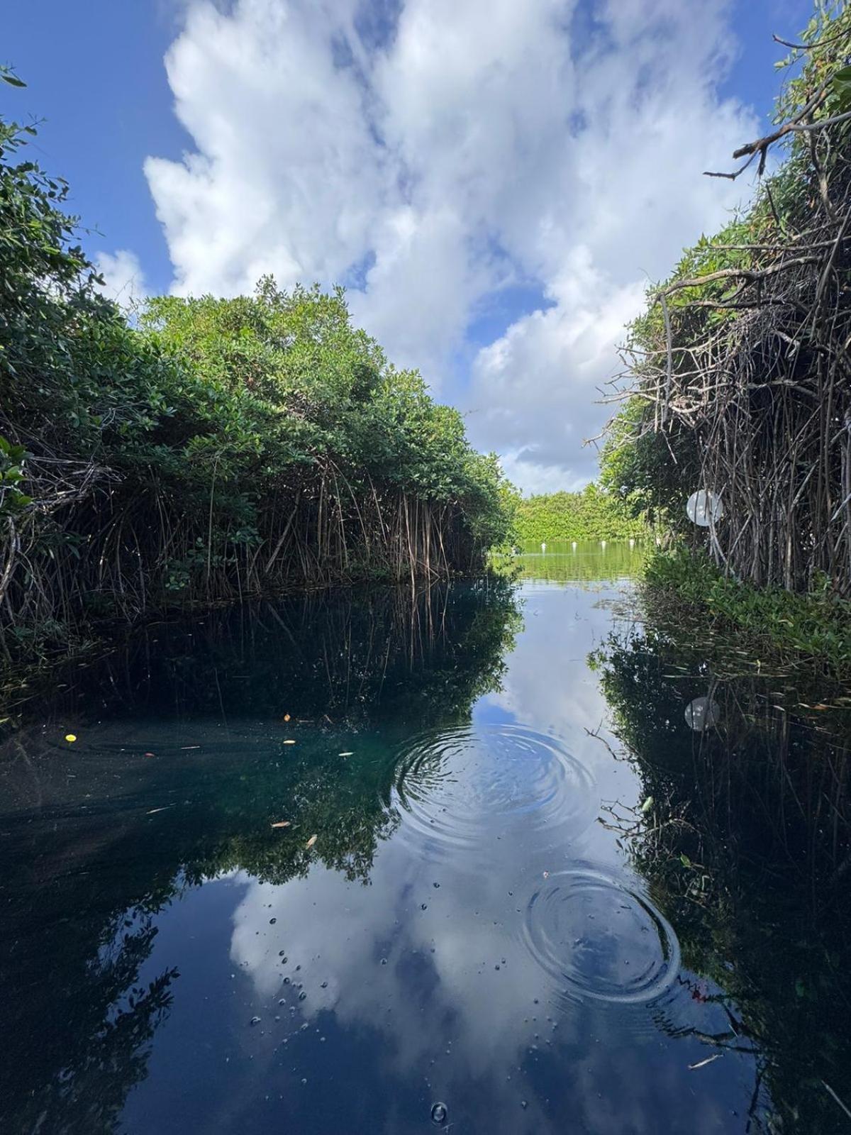 Cabanas Tulum - Aldea Mangle & Cenote المظهر الخارجي الصورة
