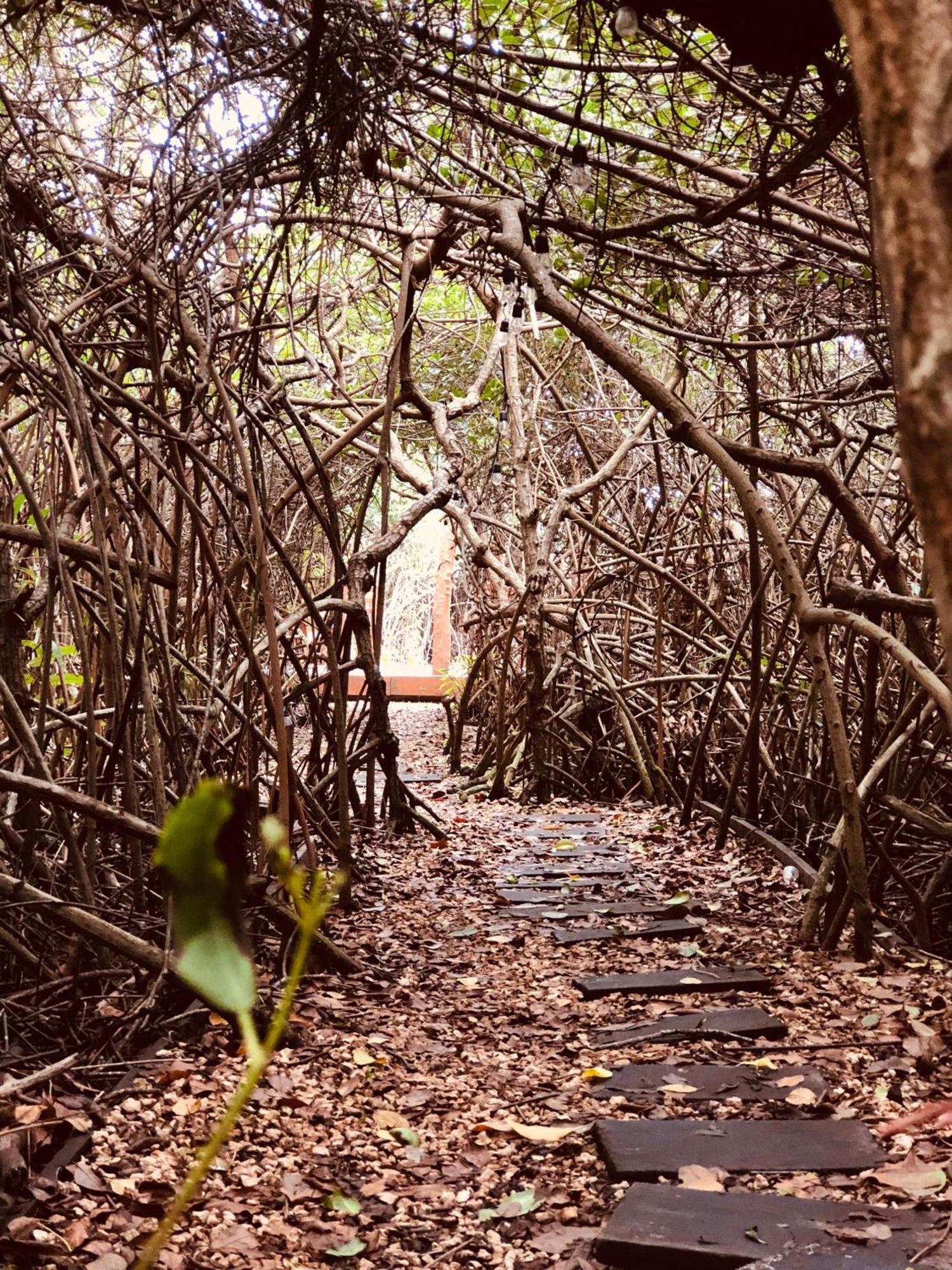 Cabanas Tulum - Aldea Mangle & Cenote المظهر الخارجي الصورة
