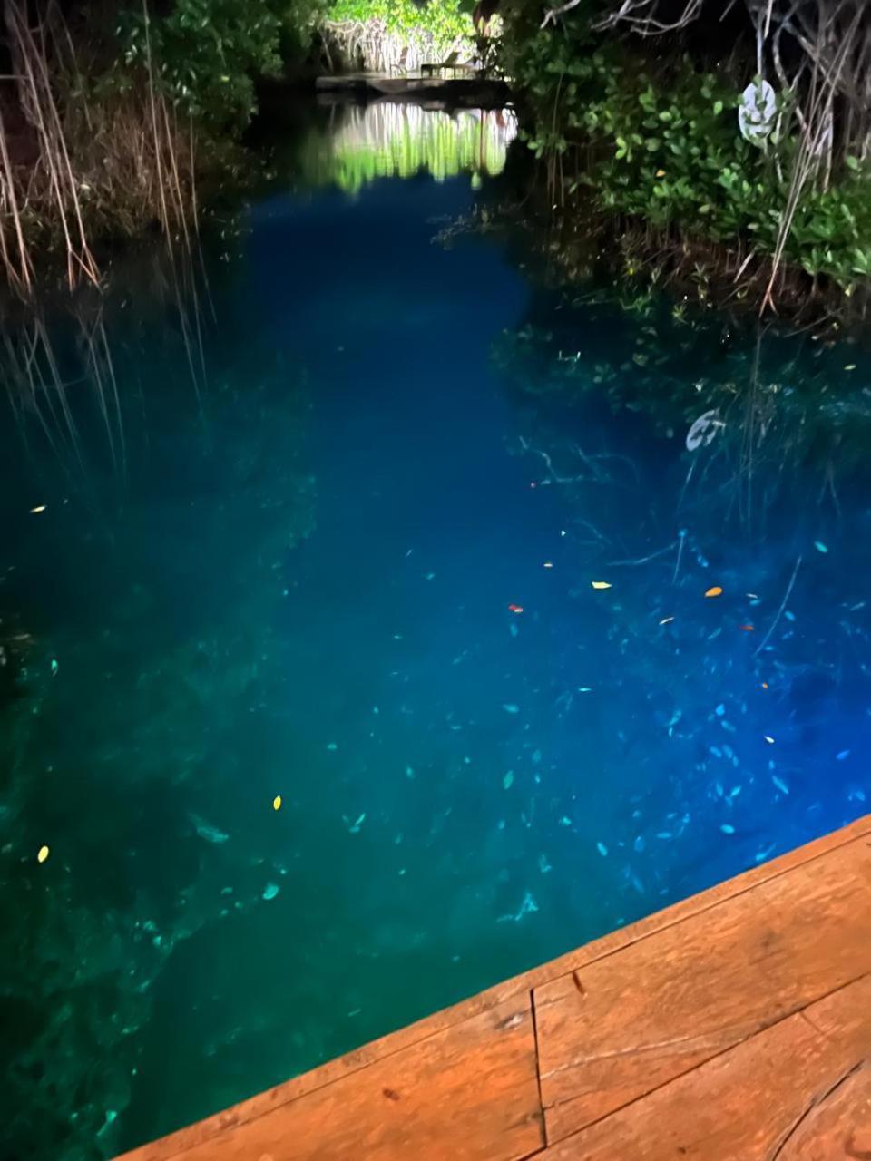 Cabanas Tulum - Aldea Mangle & Cenote المظهر الخارجي الصورة