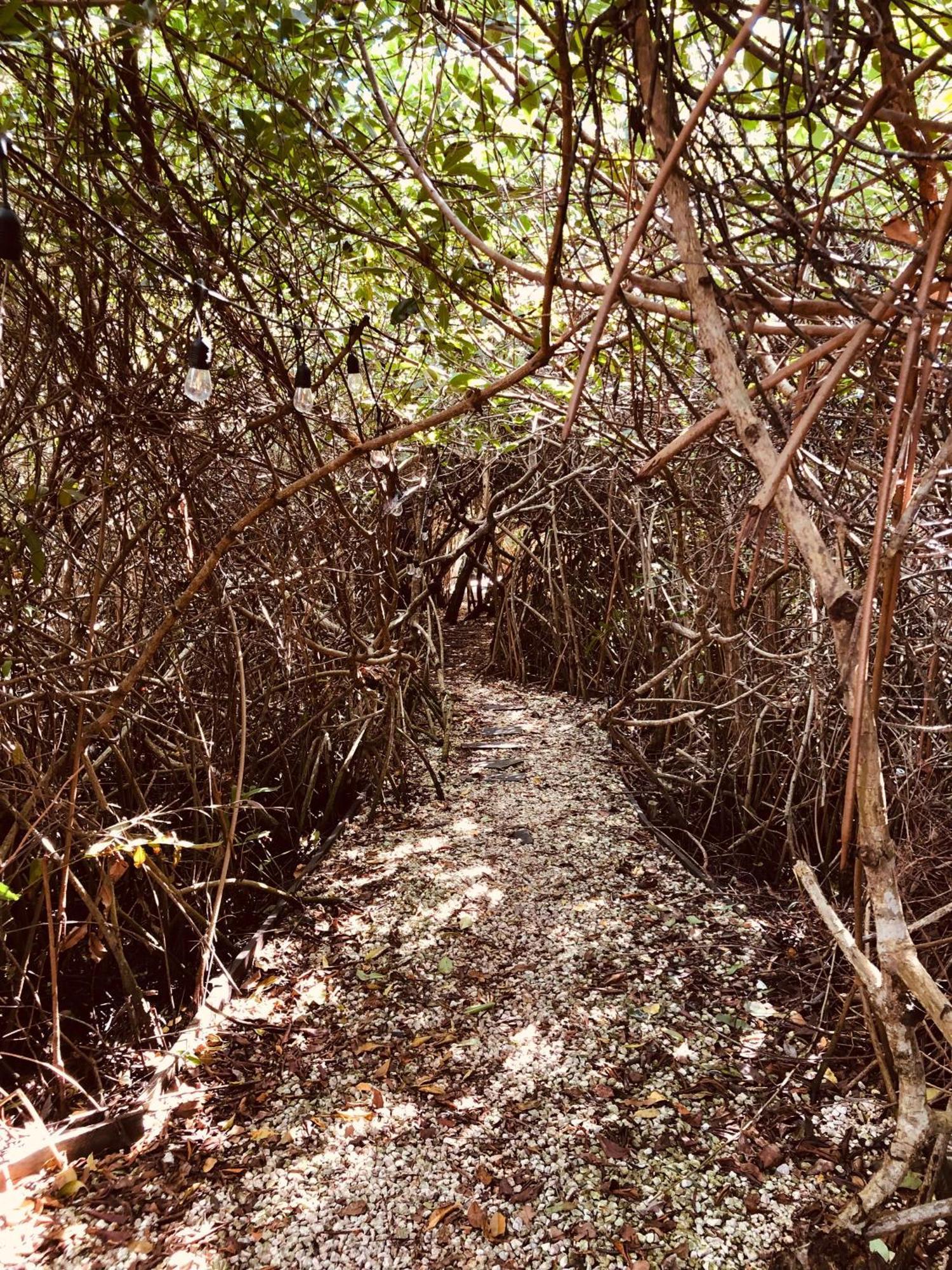 Cabanas Tulum - Aldea Mangle & Cenote المظهر الخارجي الصورة