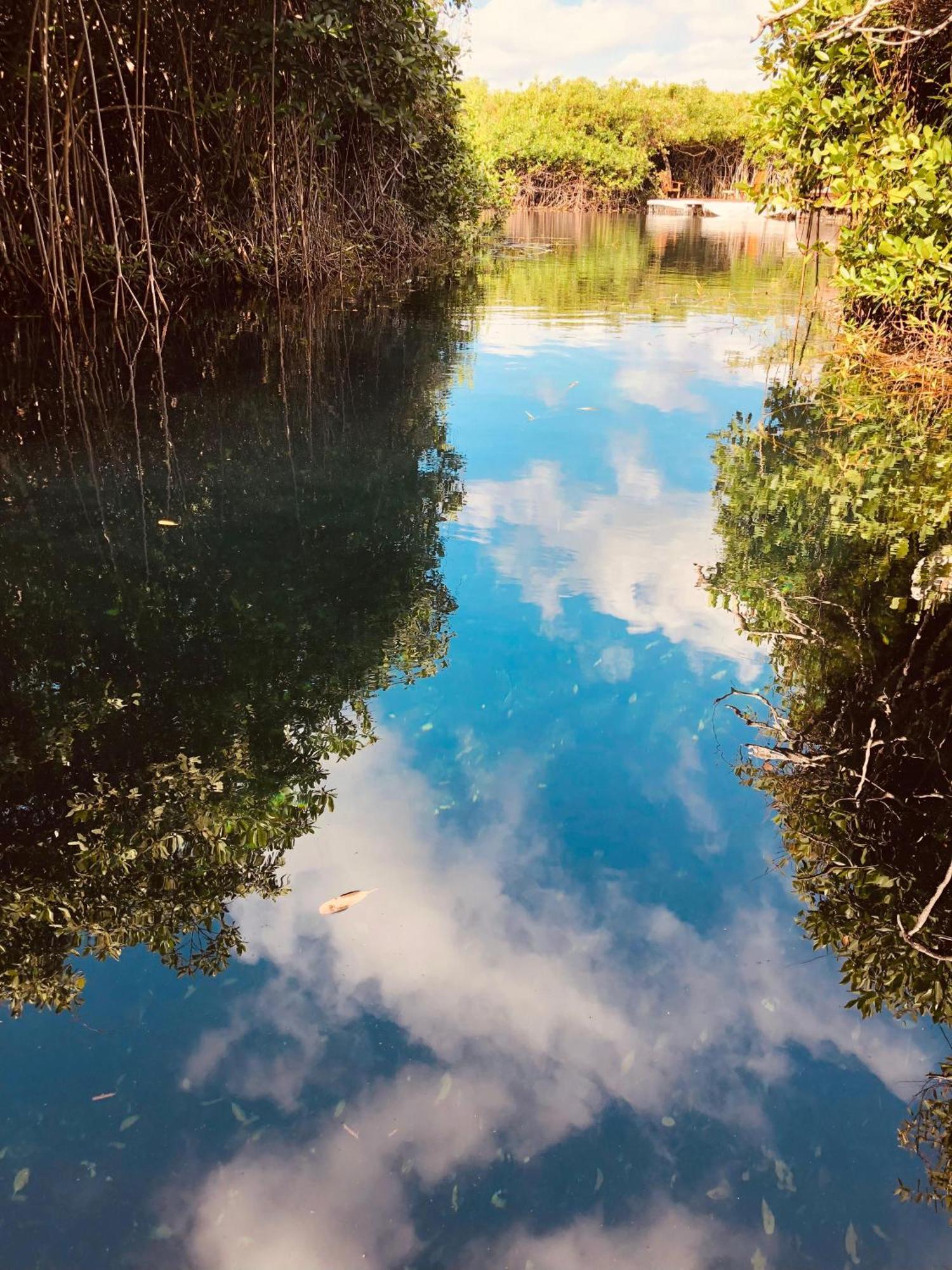 Cabanas Tulum - Aldea Mangle & Cenote المظهر الخارجي الصورة