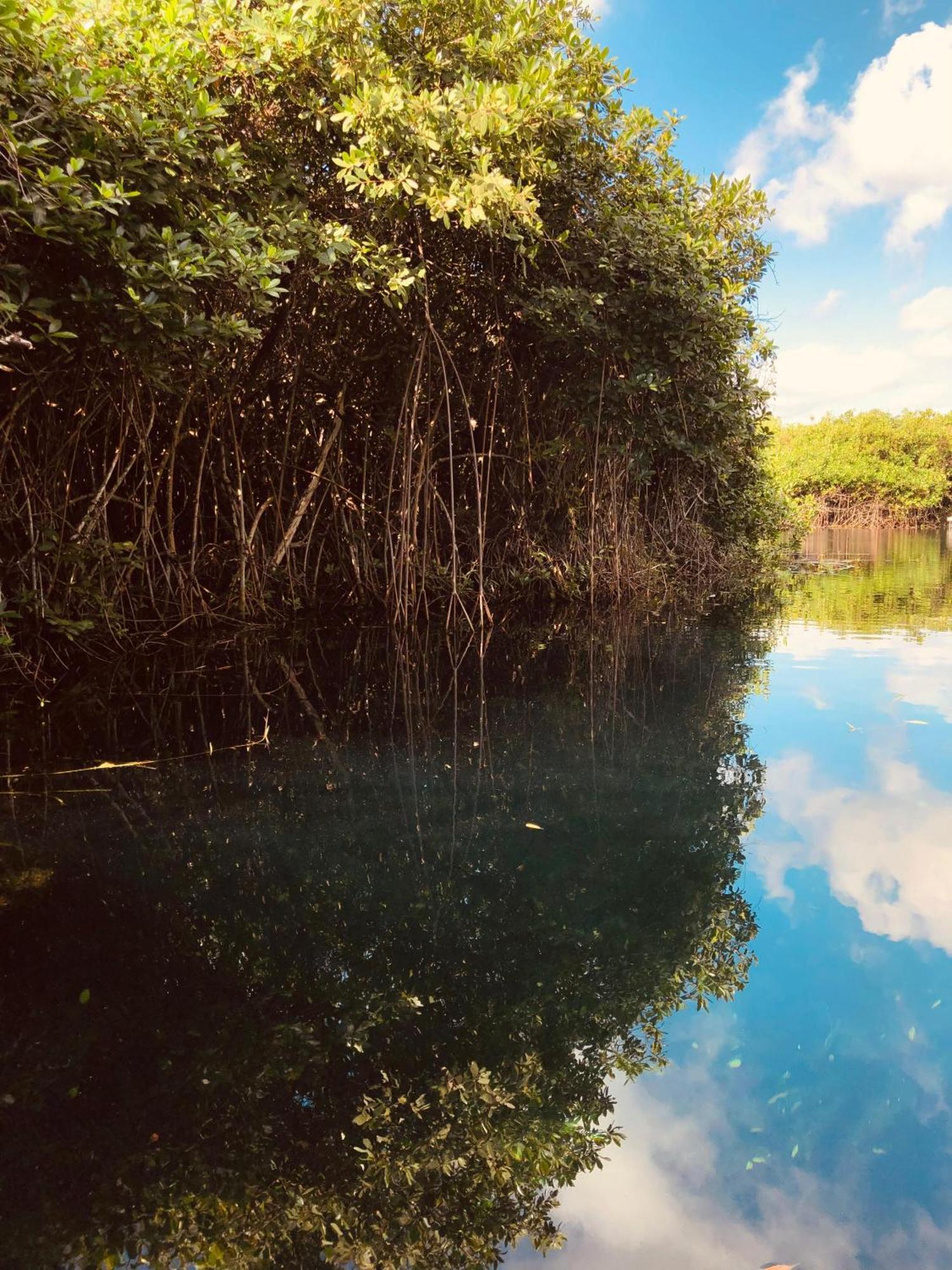 Cabanas Tulum - Aldea Mangle & Cenote المظهر الخارجي الصورة