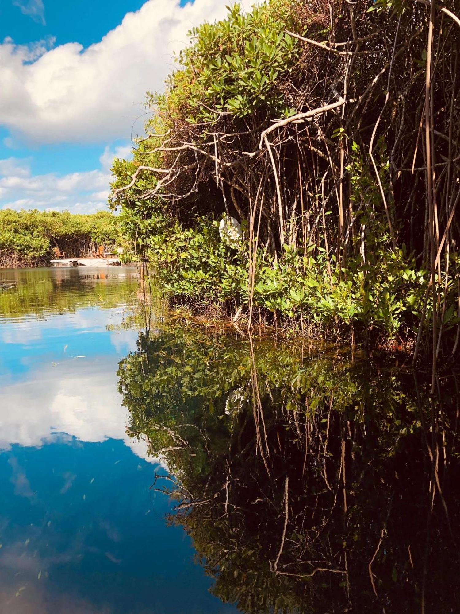 Cabanas Tulum - Aldea Mangle & Cenote المظهر الخارجي الصورة