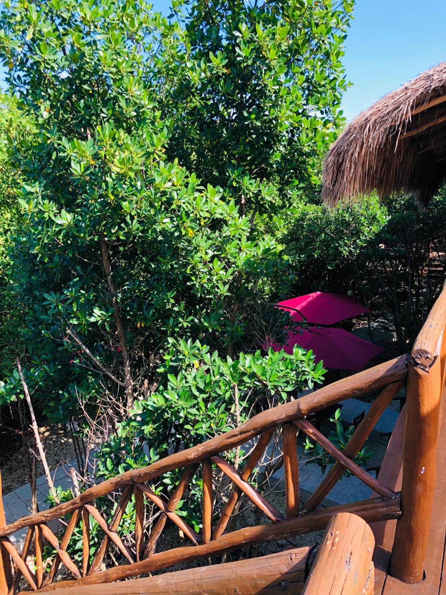 Cabanas Tulum - Aldea Mangle & Cenote المظهر الخارجي الصورة