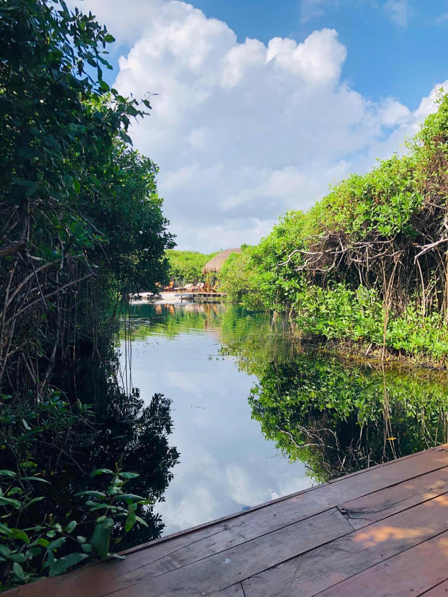 Cabanas Tulum - Aldea Mangle & Cenote المظهر الخارجي الصورة